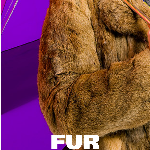 Fur Dyes